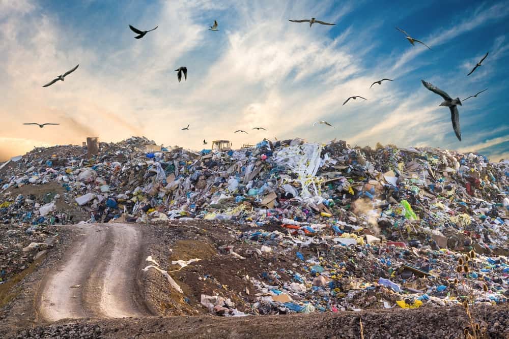 Plan for Waste Management Dumpster Rental Montgomery, AL | Waste