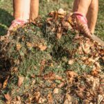How Does Composting Minimize Yard Waste