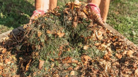 Composting Yard Waste